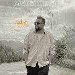 دانلود آهنگ جدید شاید از محمد کبیر