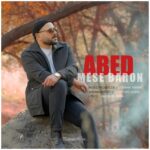 دانلود آهنگ جدید مثل بارون از عابد