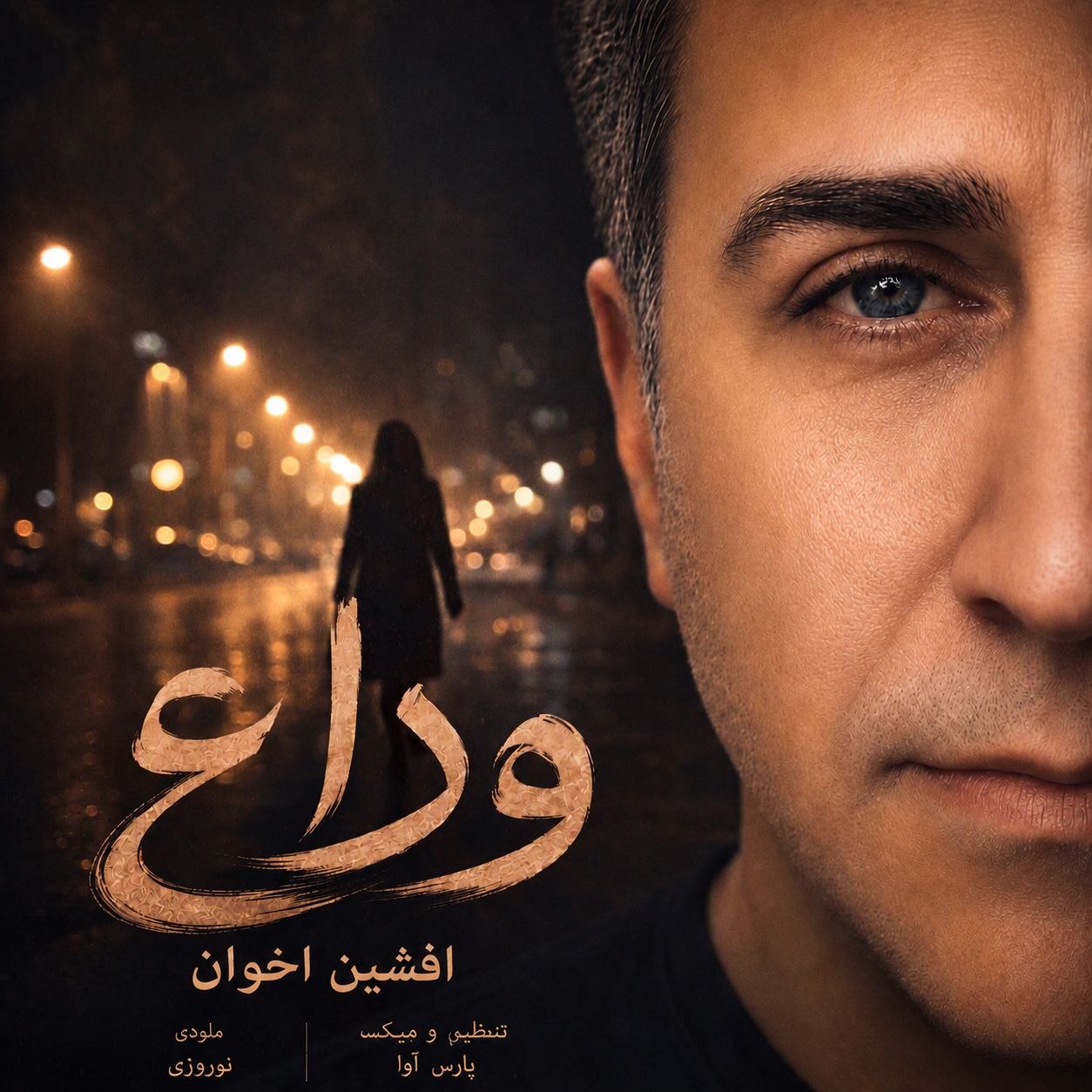 دانلود آهنگ جدید وداع از افشين اخوان