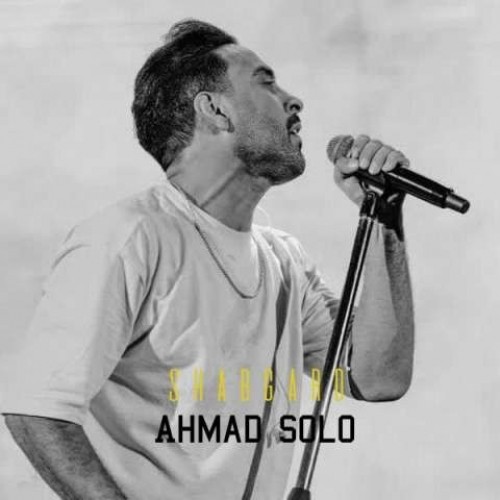 دانلود آهنگ جدید شبگرد از احمد سلو