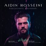 دانلود آهنگ جدید کوچه های بی قراری از آیدین حسینی
