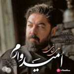 دانلود آهنگ جدید امیدوارم از علی خانی