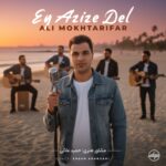 دانلود آهنگ جدید ای عزیز دل از علی مختاری فر