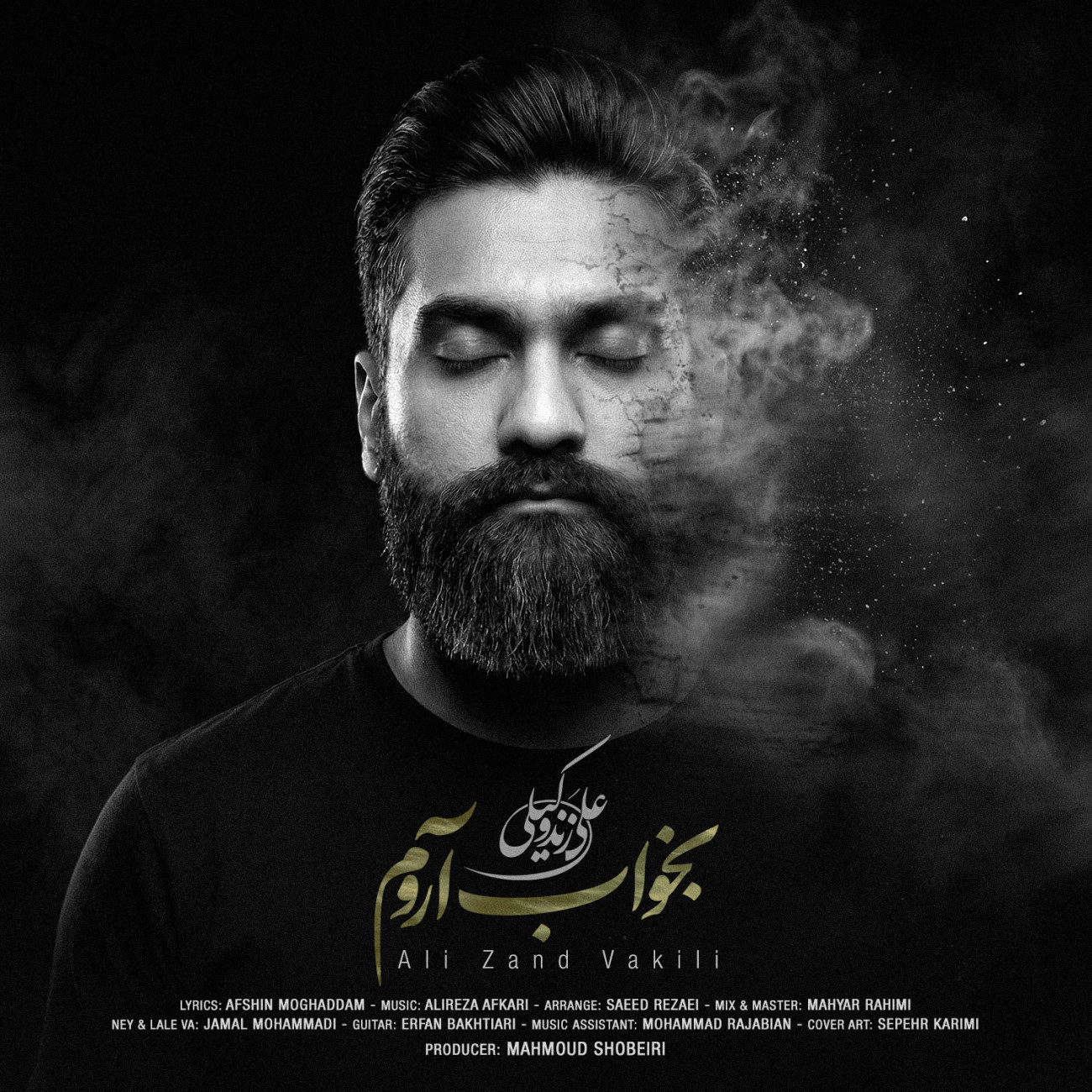 دانلود آهنگ جدید بخواب آروم از علی زندوکیلی