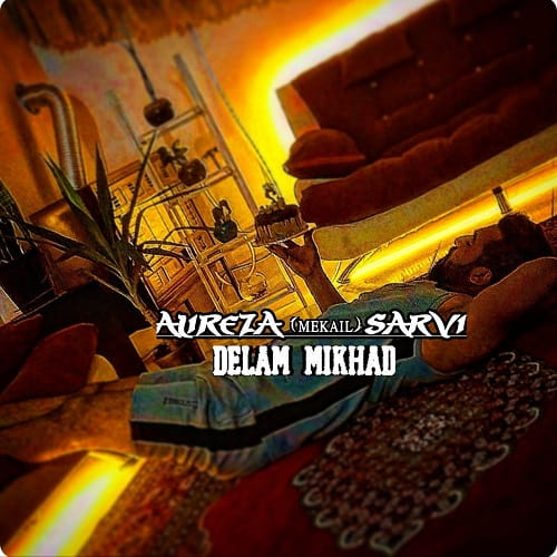 دانلود آهنگ جدید دلم میخواد از علیرضا سروی