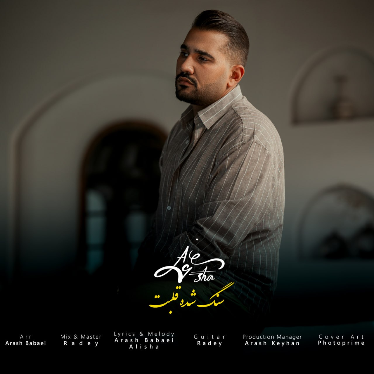 دانلود آهنگ جدید سنگ شده قلبت از علیشا