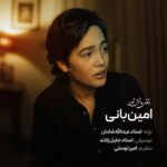 دانلود آهنگ جدید وقتی عاشق شوی از امین بانی