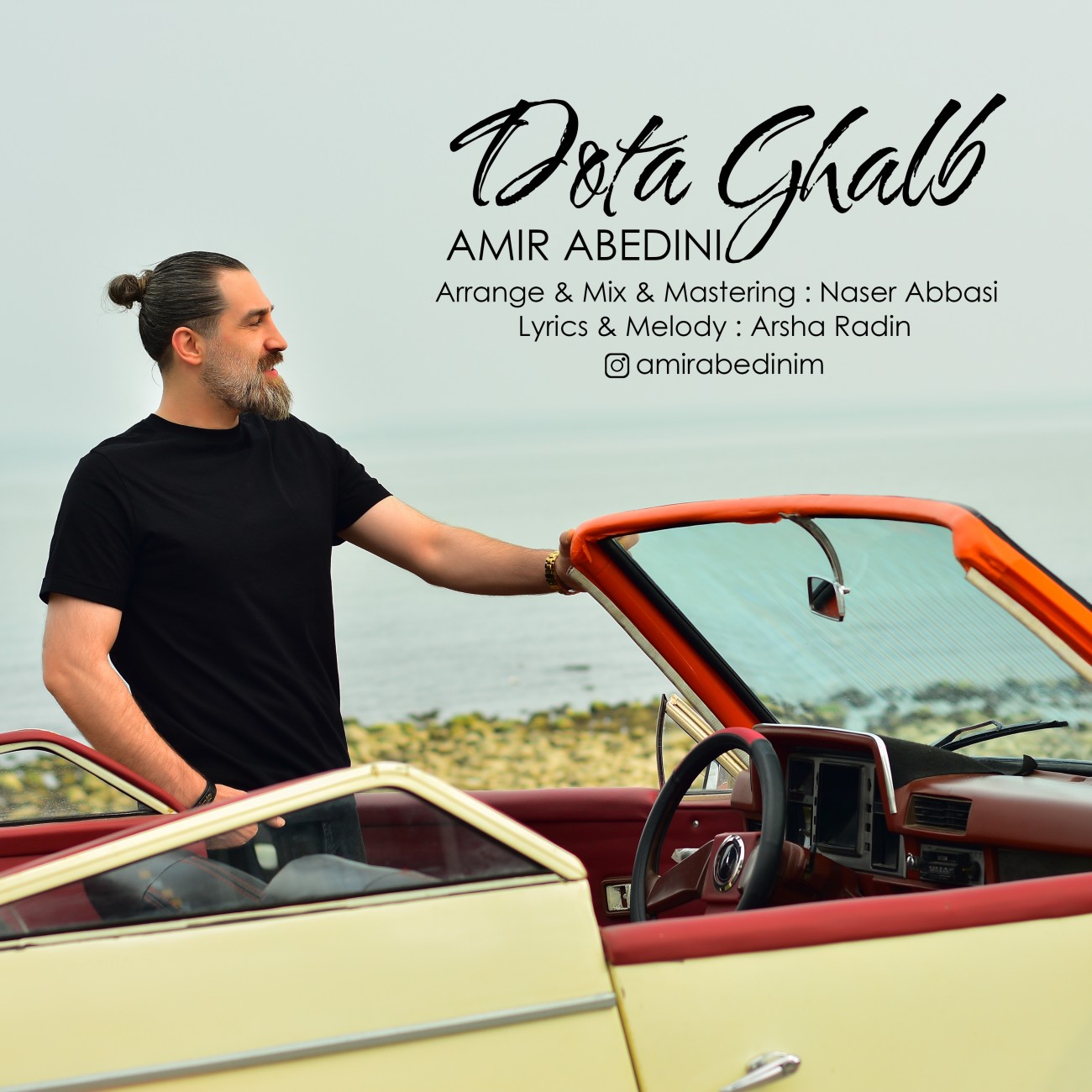 دانلود آهنگ جدید دوتا قلب از امیر عابدینی