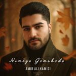 دانلود آهنگ جدید نیمه ی گمشده از امیر علی حمیدی