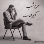 دانلود آهنگ جدید مرغ شب از امیر اطاعت