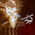 دانلود آهنگ جدید لبیک از امیر پوستچی