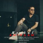 دانلود آهنگ جدید موهات از امیرام