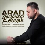 دانلود آهنگ جدید دیوونگی خوبه از آراد عباسی