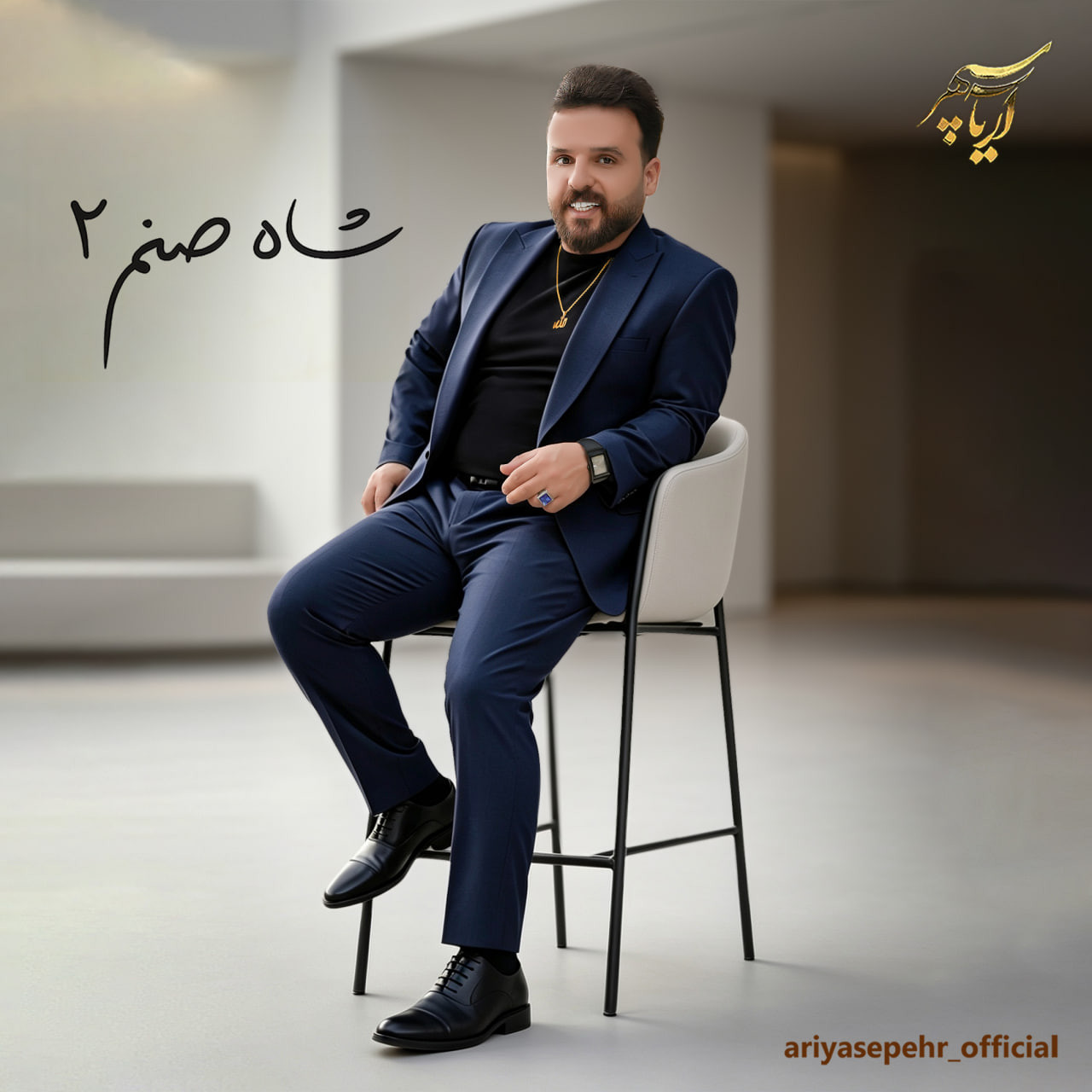 دانلود آهنگ جدید شاه صنم 2 از آریا سپهر