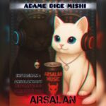 دانلود آهنگ جدید آدم دیگه میشی از ارسلان