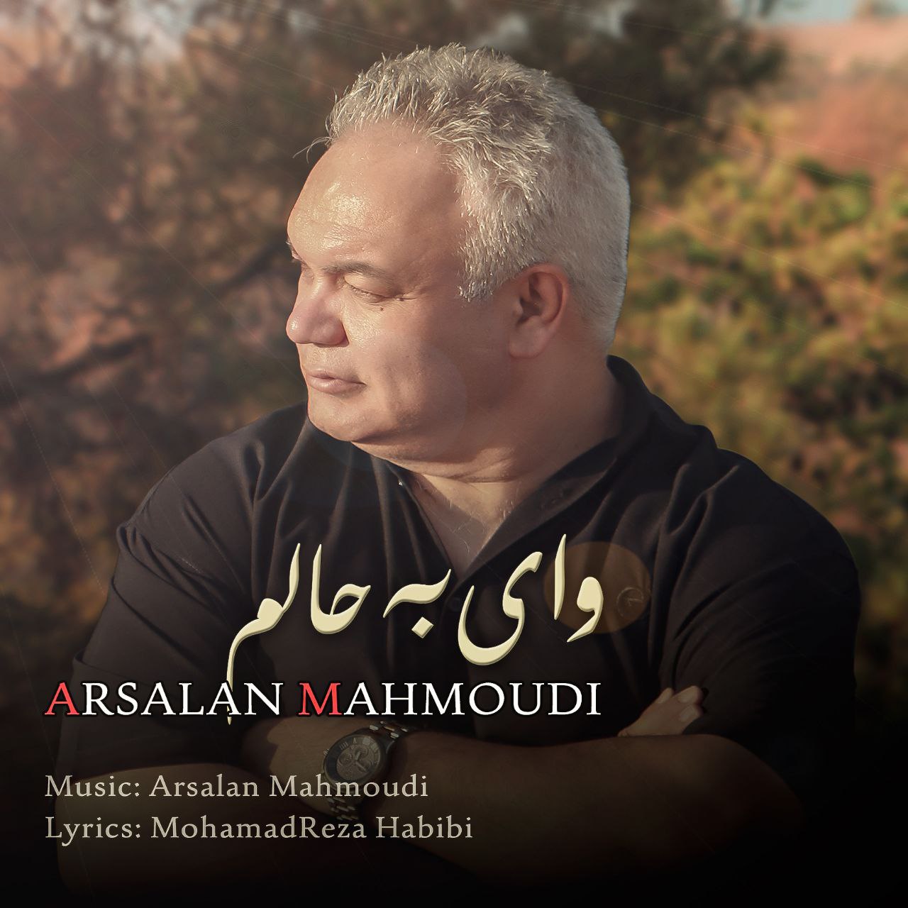 دانلود آهنگ جدید ارسلان محمودی به نام وای به حالم