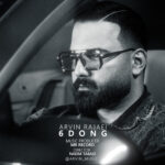 دانلود آهنگ جدید شیش دنگ از آروین رجایی