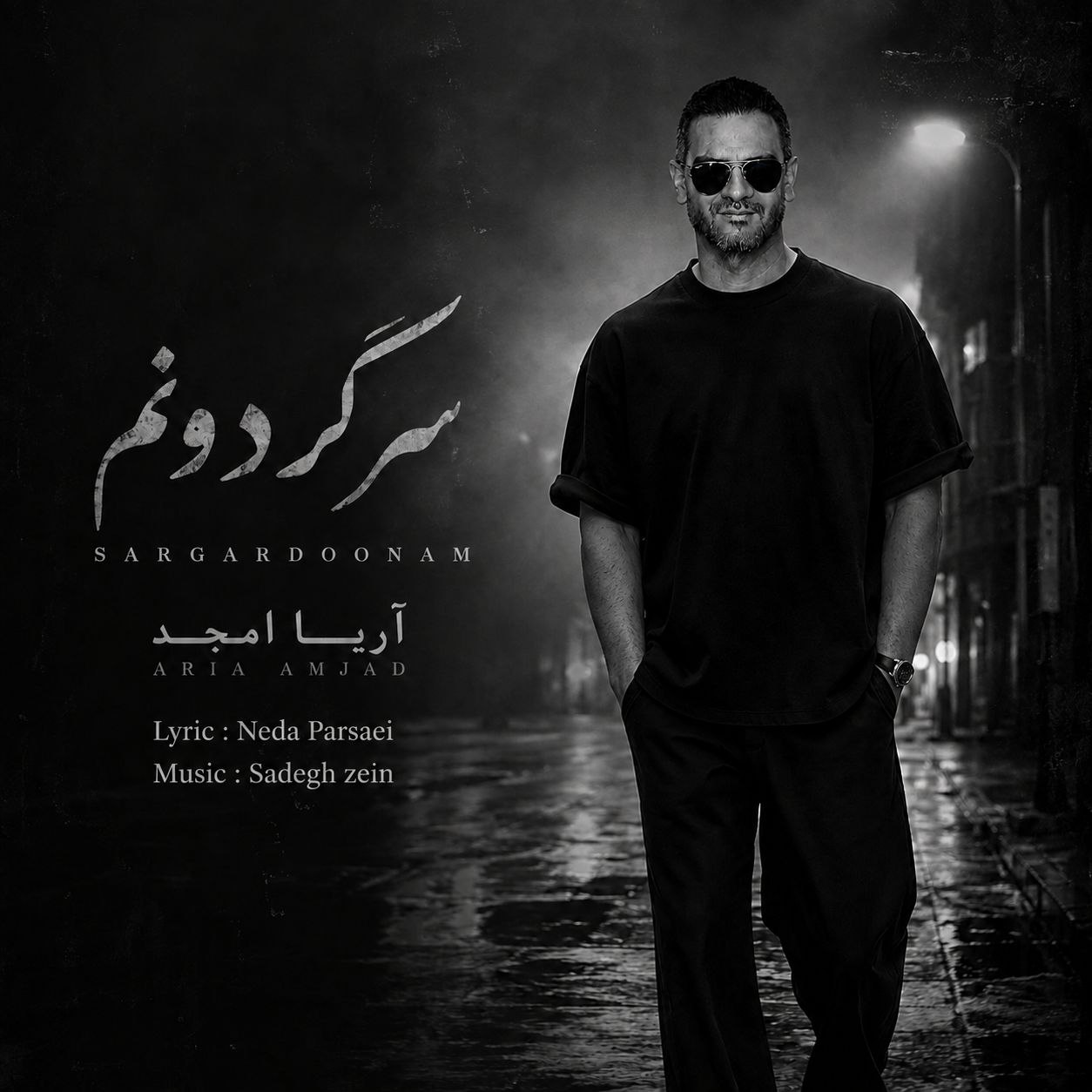 دانلود آهنگ جدید سرگردونم از آریا امجد