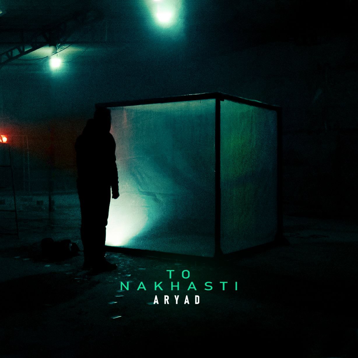 دانلود آهنگ جدید آریاد به نام تو نخواستی