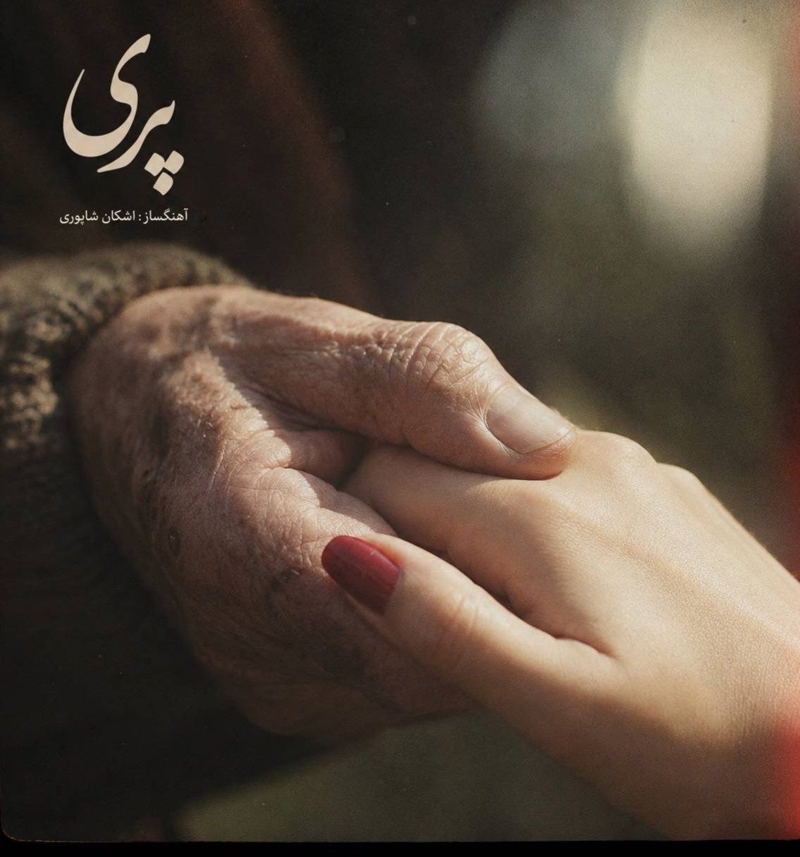 دانلود آهنگ جدید اشکان شاپوری به نام پری