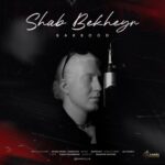 دانلود آهنگ جدید شب بخیر از باربد