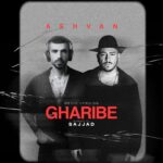 دانلود آهنگ جدید غریبهاشوان از دی جی سجاد