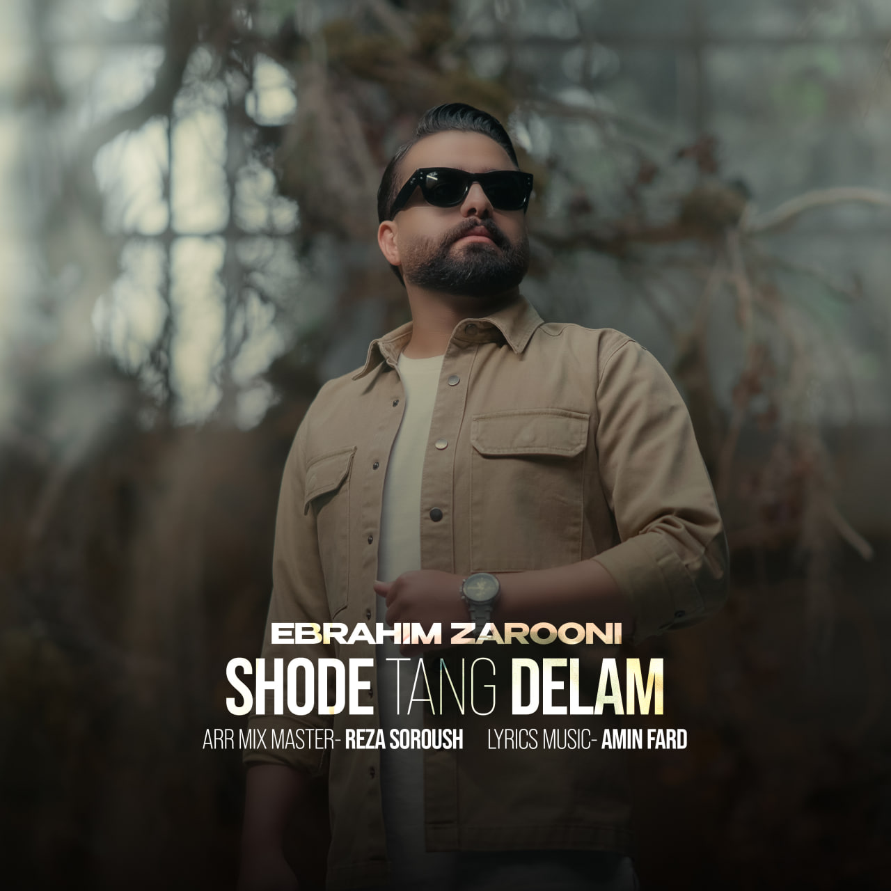 دانلود آهنگ جدید شده تنگ دلم از ابراهیم زرونی