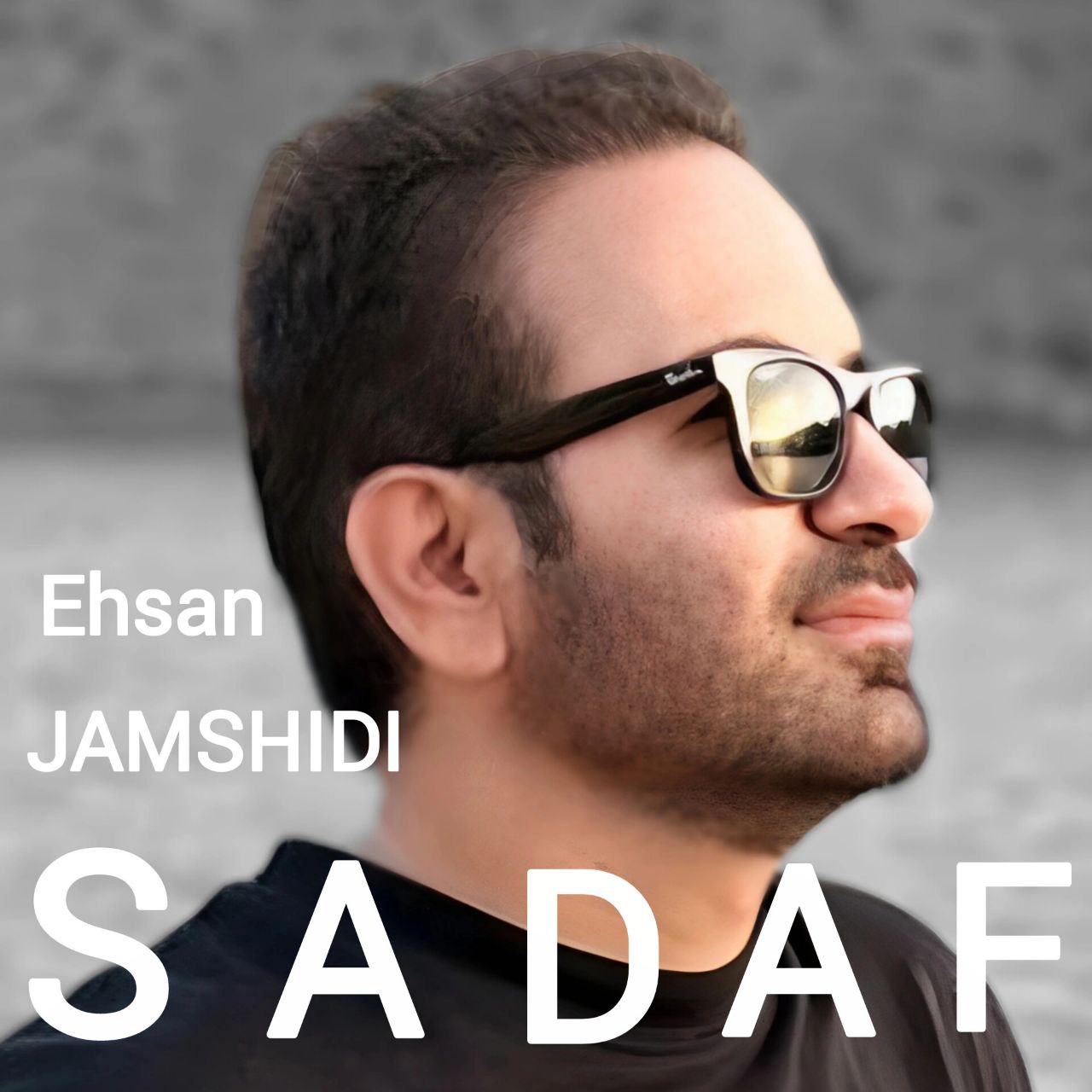 دانلود آهنگ جدید صدف از احسان جمشیدی