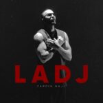 دانلود آهنگ جدید لج از فردین ناجی