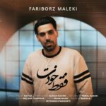 دانلود آهنگ جدید فقط خودت از فریبرز ملکی