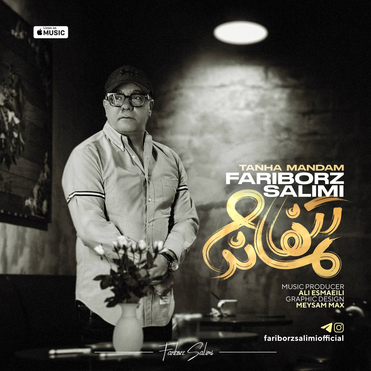 دانلود آهنگ جدید تنها ماندم از فريبرز سليمى