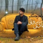 دانلود آهنگ جدید :جادوگر از هادی ناروئی