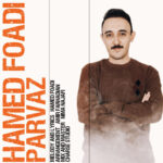 دانلود آهنگ جدید پرواز از حامد فوادی