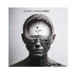 دانلود آهنگ جدید گنج از حامد احمدی