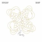 دانلود آهنگ جدید از دوست داشتن از همایون شجریان