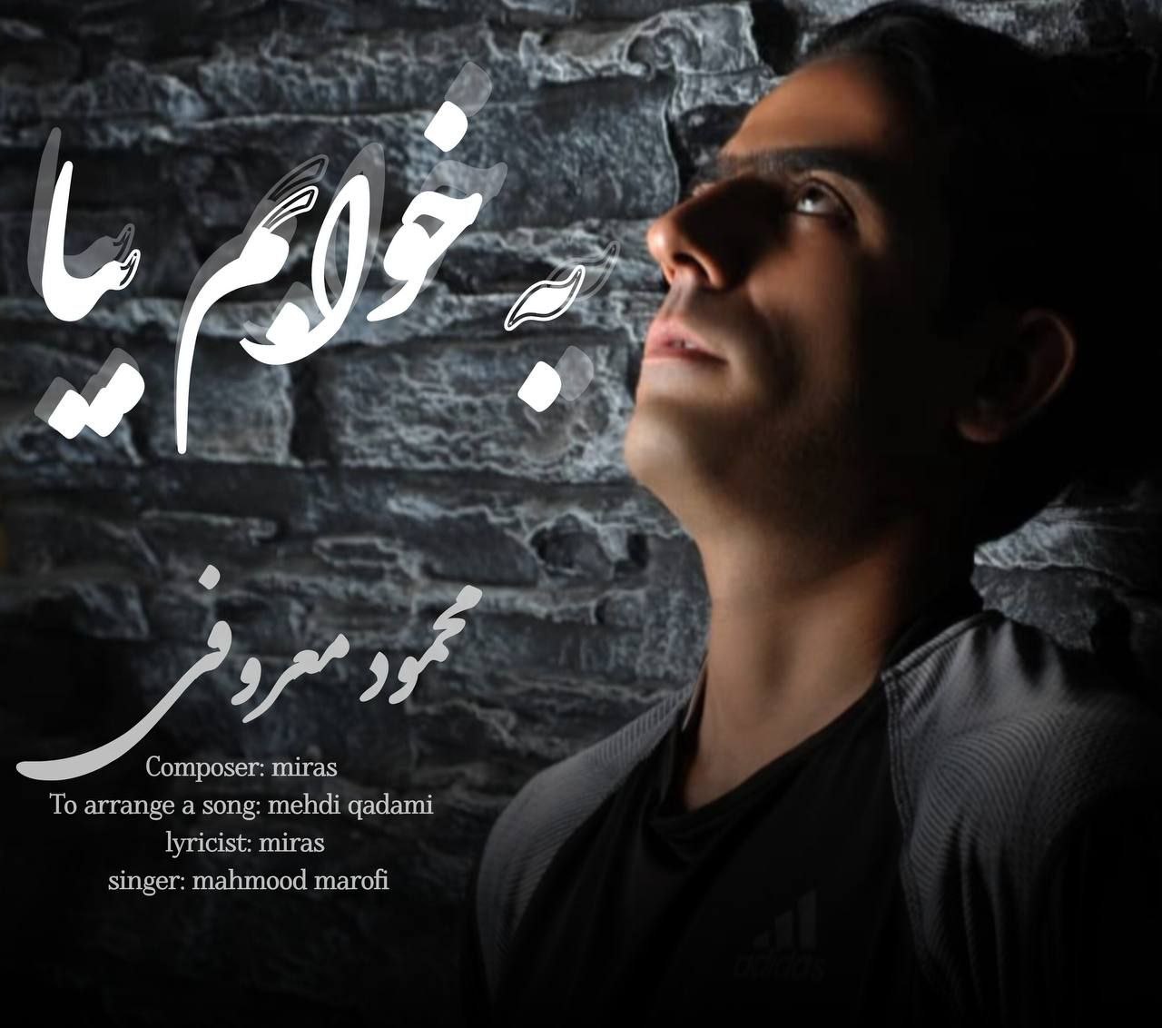 دانلود آهنگ جدید به خوابم بیا از محمود معروفی