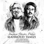 دانلود آهنگ جدید کوچه شهر دلم از محمود تمیزی