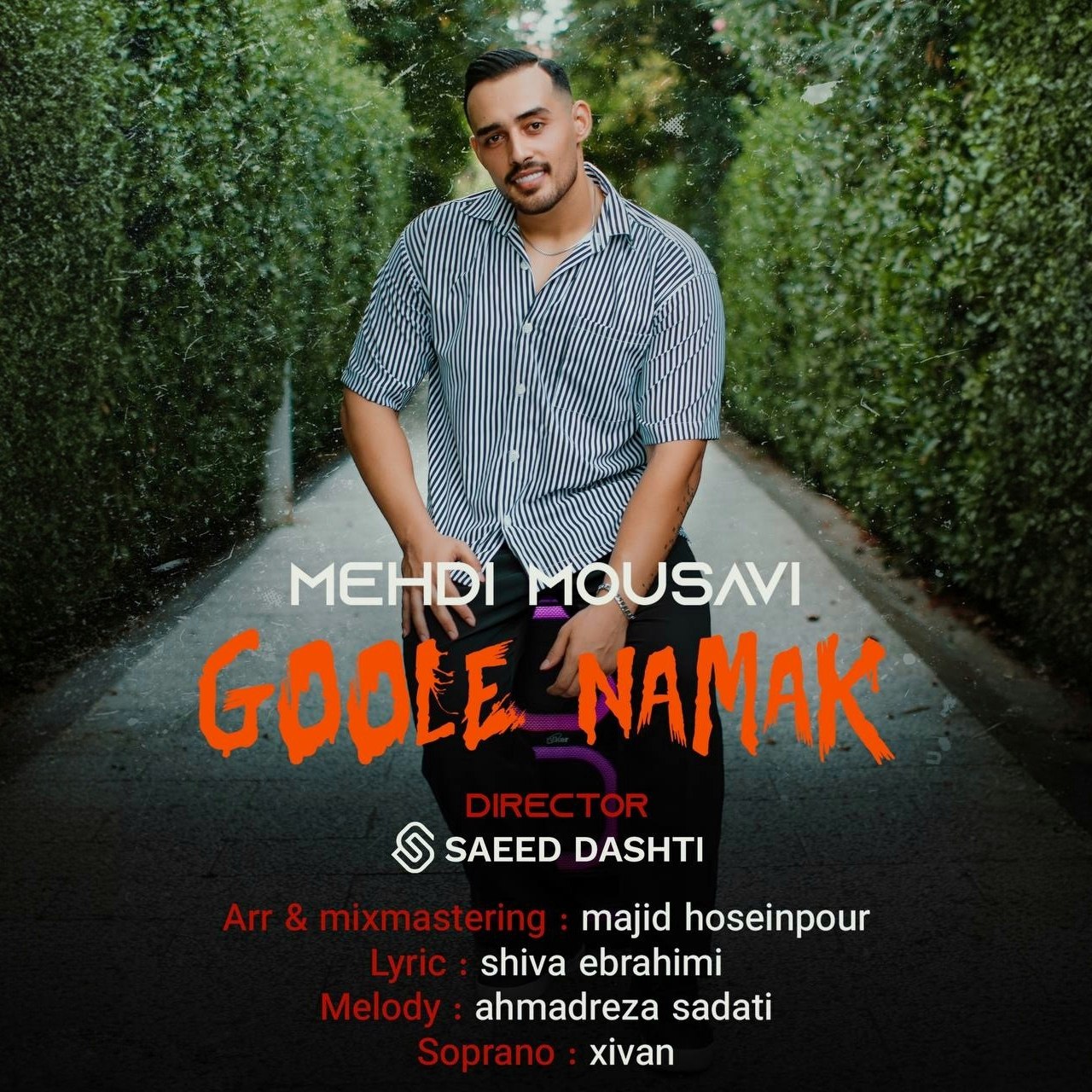 دانلود آهنگ جدید گوله نمک از مهدی موسوی