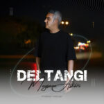 دانلود آهنگ جدید دلتنگی از میثم عسکری