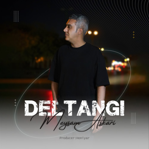 دانلود آهنگ جدید دلتنگی از میثم عسکری