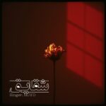 دانلود آهنگ جدید شقایق از ام جی