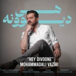 دانلود آهنگ جدید هی دیوونه از محمد علی وزیری