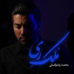 دانلود آهنگ جدید ملک ری از محمد زندوکیلی