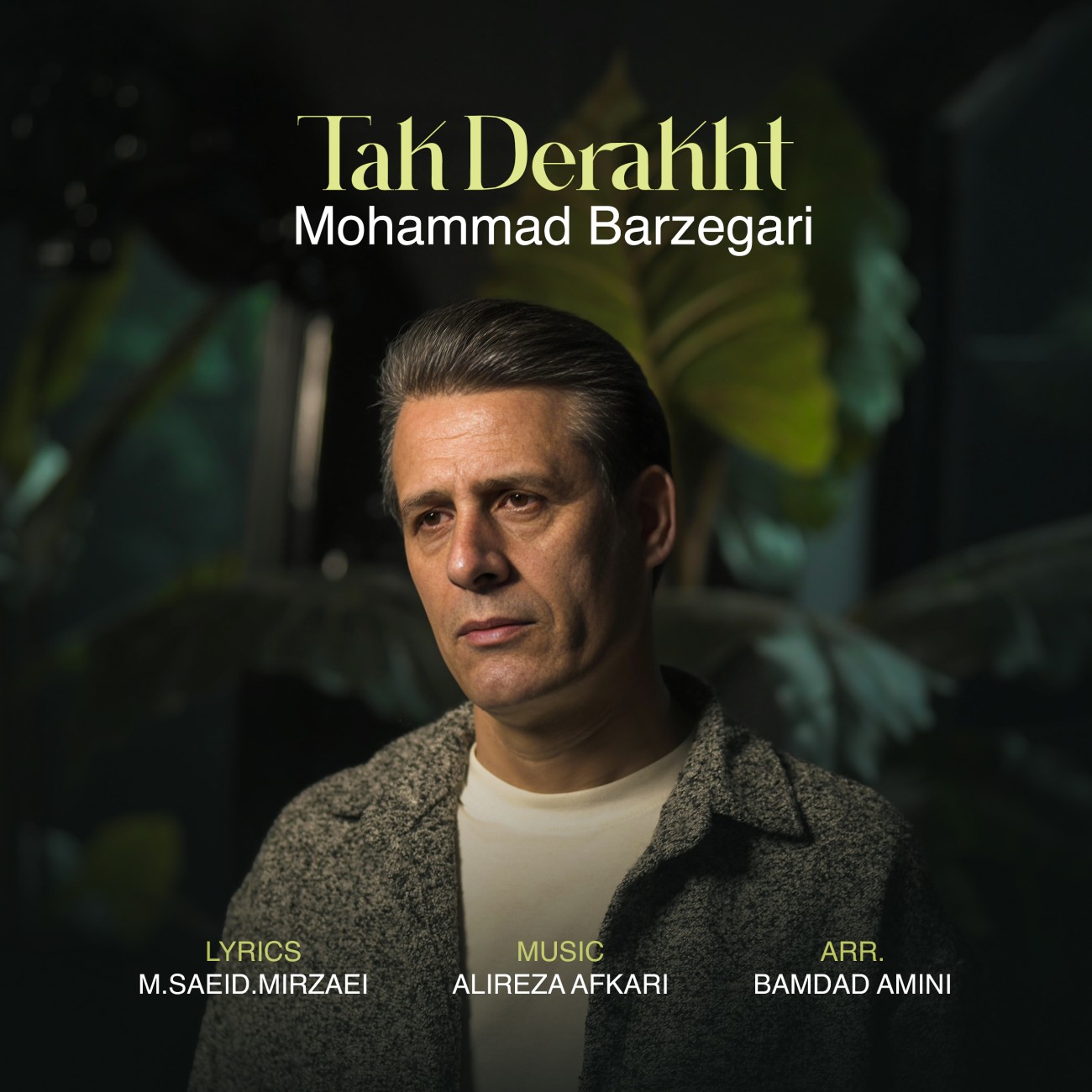 دانلود آهنگ جدید محمد برزگری به نام تک درخت