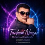 دانلود آهنگ جدید تنهام نذار از محمد فرهمند