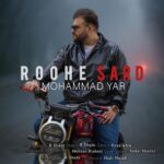 دانلود آهنگ جدید روح سرد از محمد یار