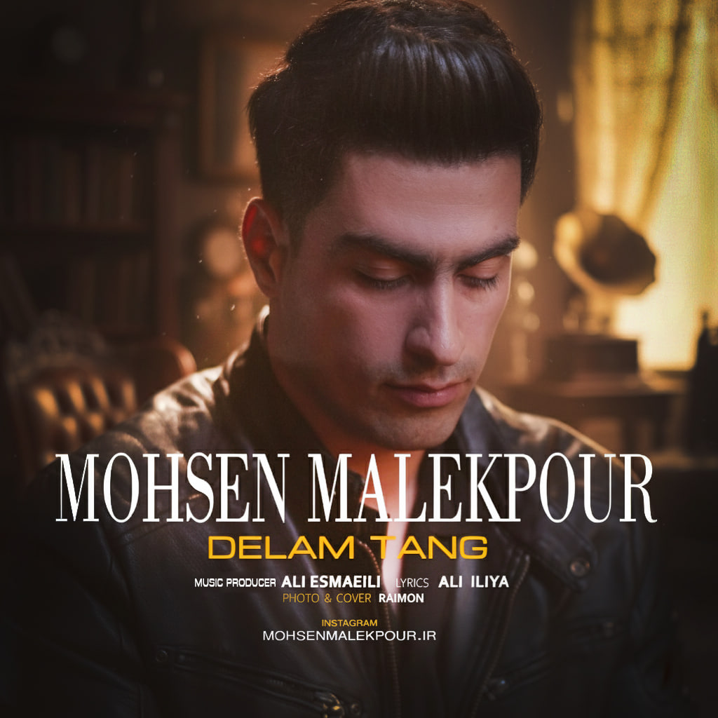 دانلود آهنگ جدید دلم تنگ از محسن ملک پور