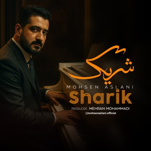 دانلود آهنگ جدید محسن اصلانی به نام شریک