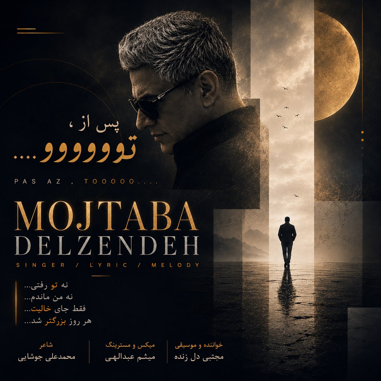 دانلود آهنگ جدید مجتبی دل زنده به نام پس از تو