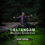 دانلود آهنگ جدید دلتنگم از مجتبی قاسمیان